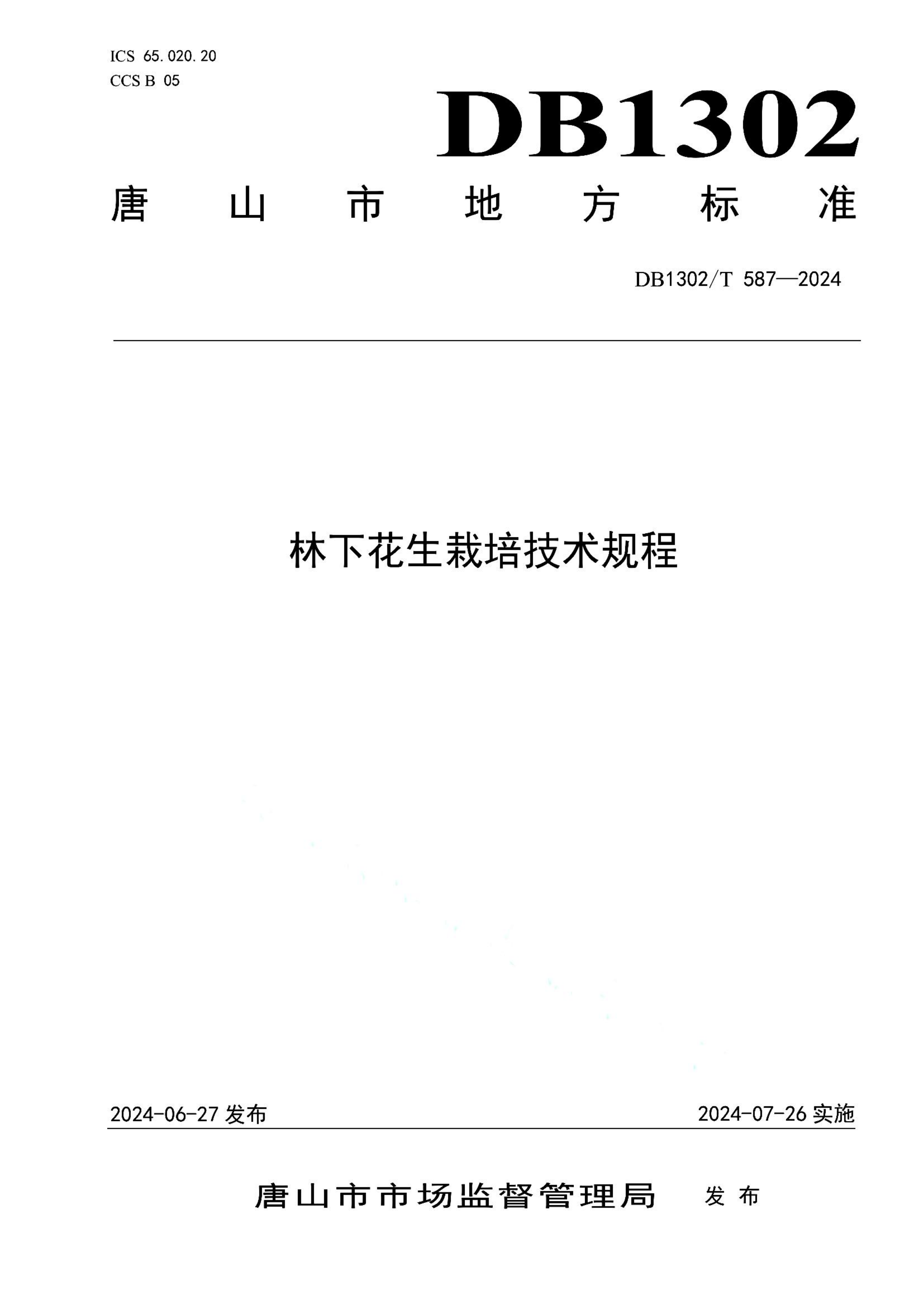 资源详情图